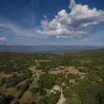 Zamelinjak